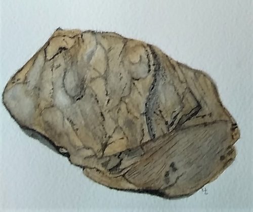 Lynne, From my garden, Stone, watercolour.